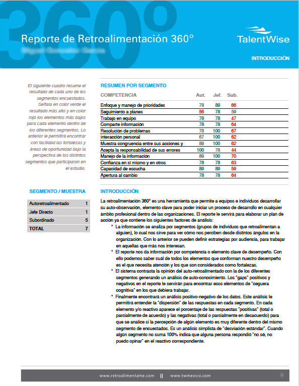reporte ejecutivo