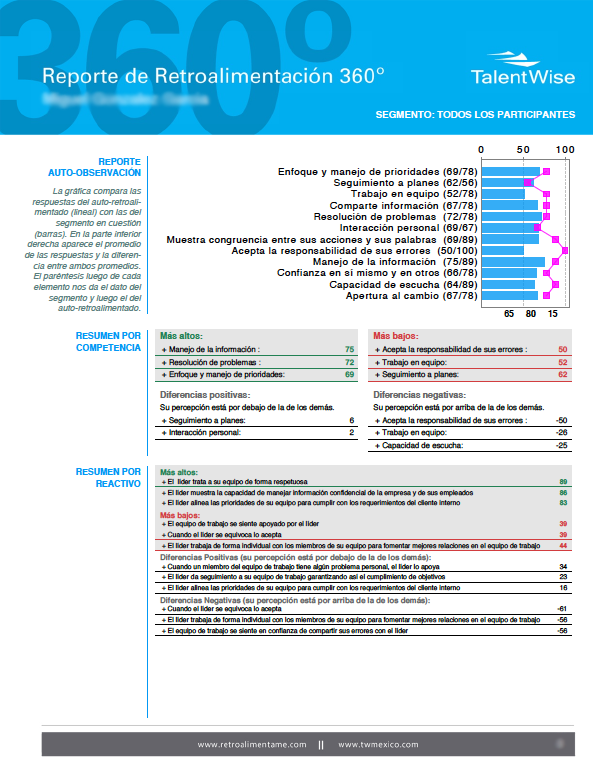 reporte ejecutivo